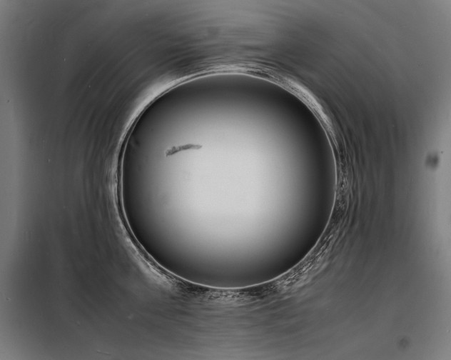 X0000098180811200804241220