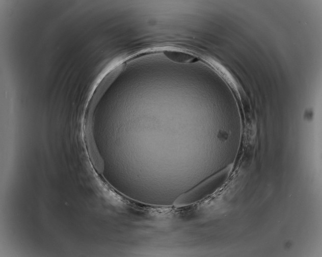 X0000098180813200804241220