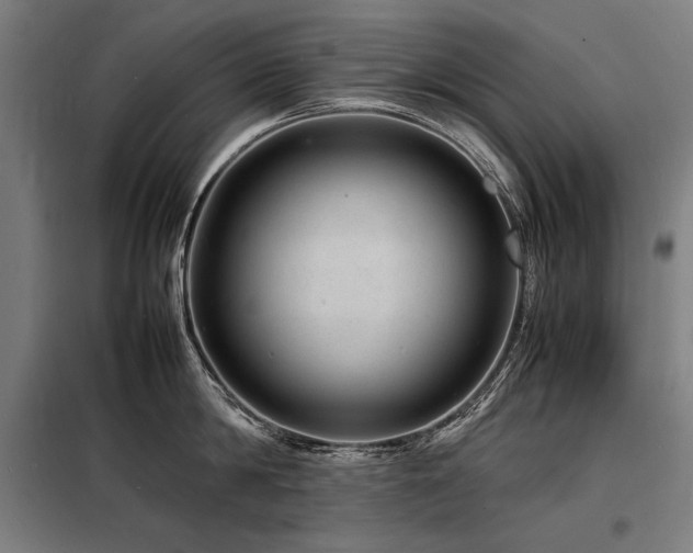 X0000098180814200804241220