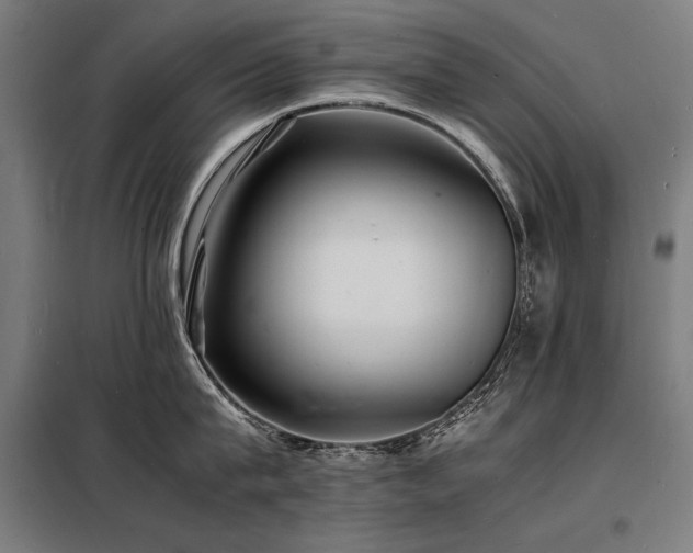 X0000098180815200804241220