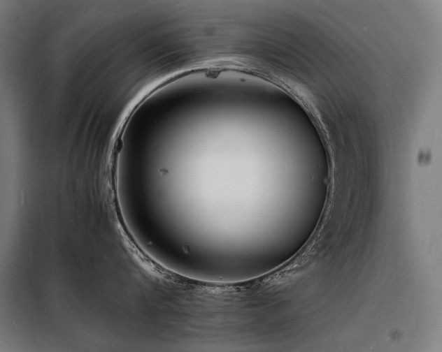 X0000098180816200804241220