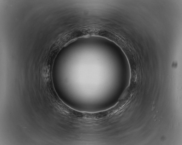 X0000098180818200804241219