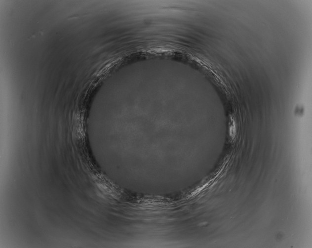 X0000098180819200804241219