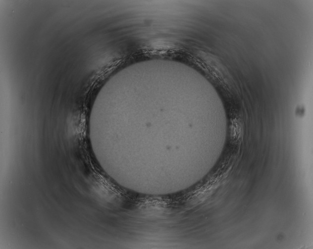 X0000098180820200804241219
