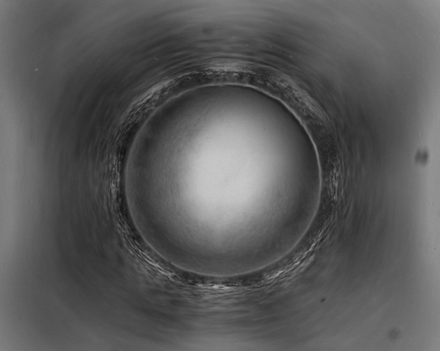 X0000098180821200804241219