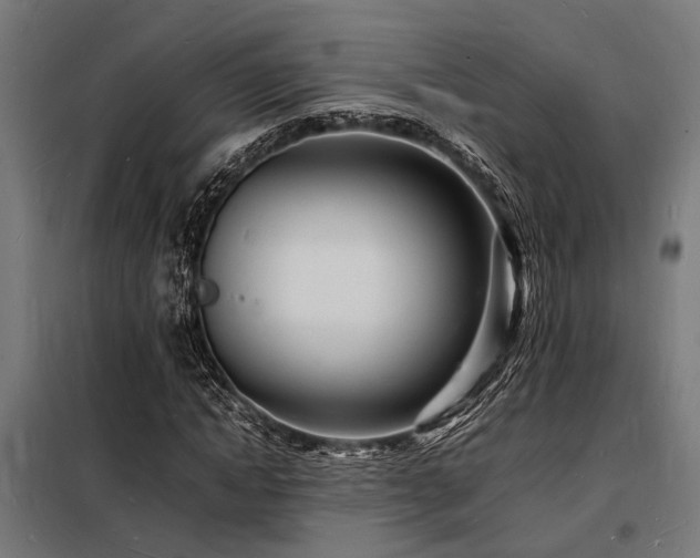 X0000098180822200804241219