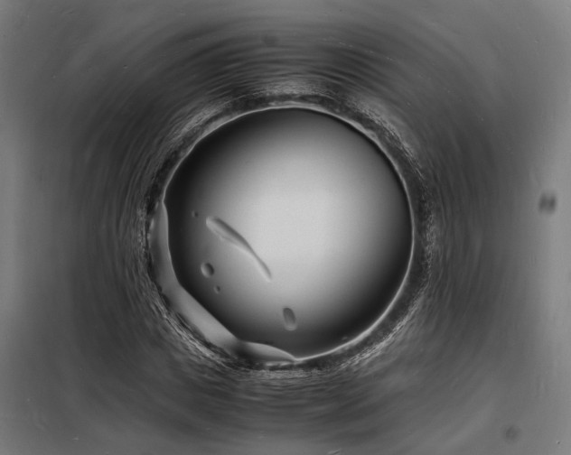 X0000098180825200804241219