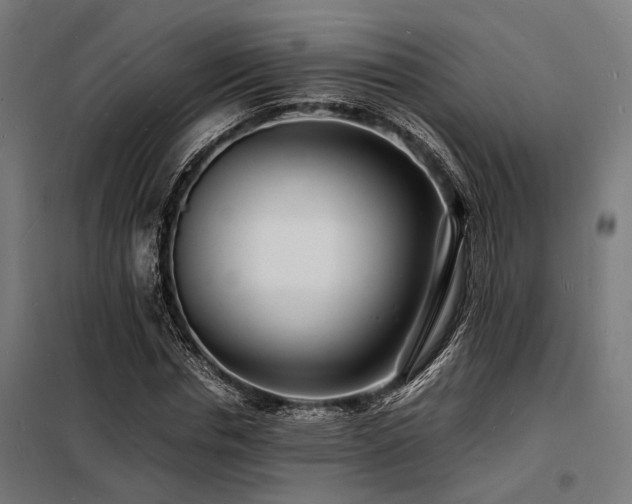 X0000098180826200804241219