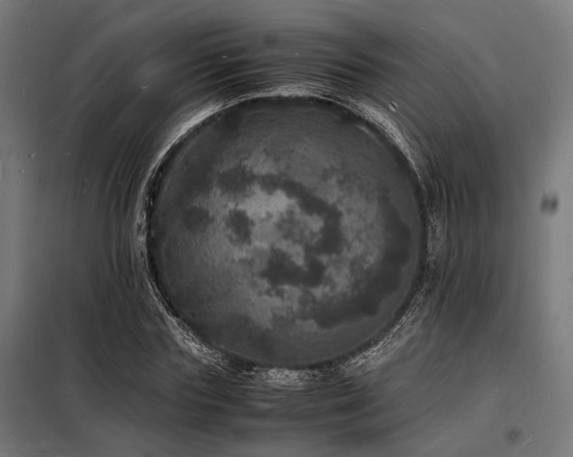 X0000098180827200804241219