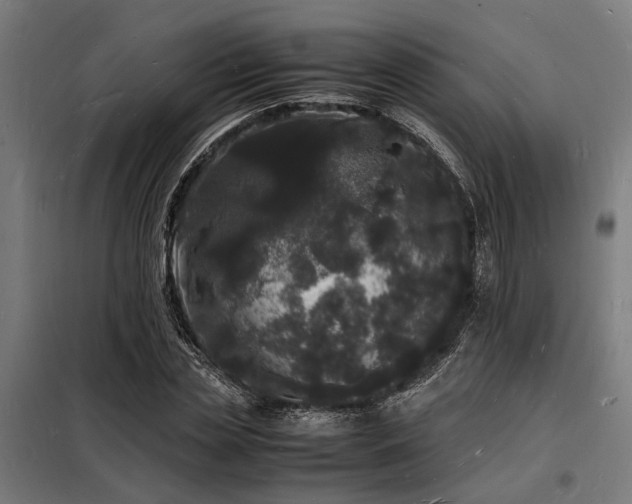 X0000098180829200804241219