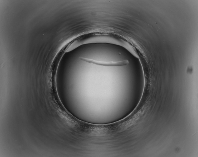 X0000098180830200804241219