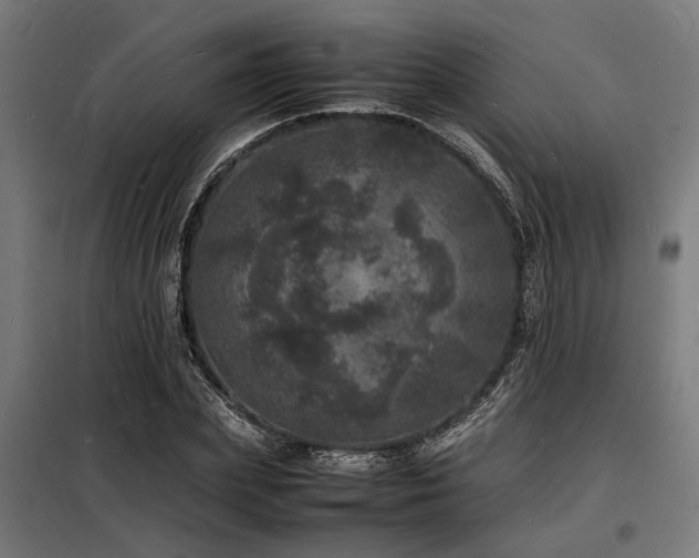 X0000098180831200804241219