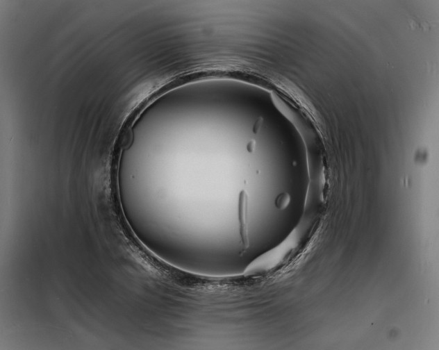 X0000098180834200804241219
