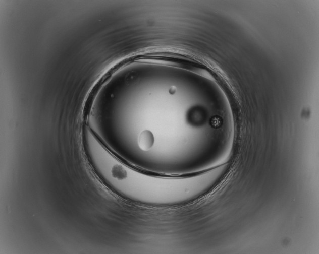 X0000098180836200804241219