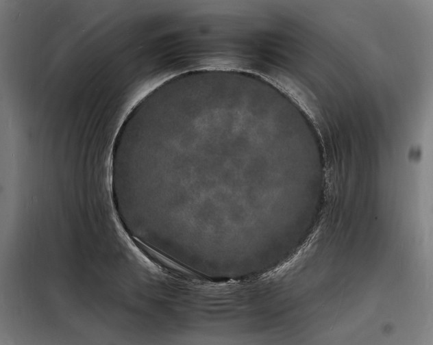 X0000098180839200804241219