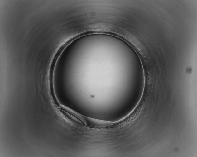 X0000098180840200804241219