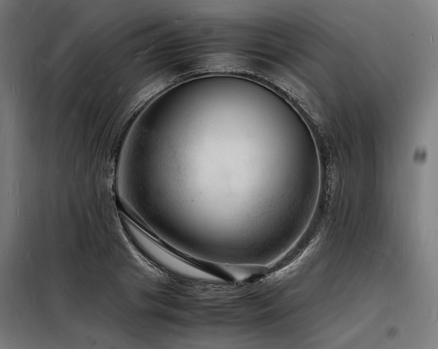 X0000098180841200804241219
