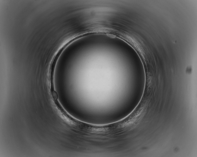 X0000098180843200804241220