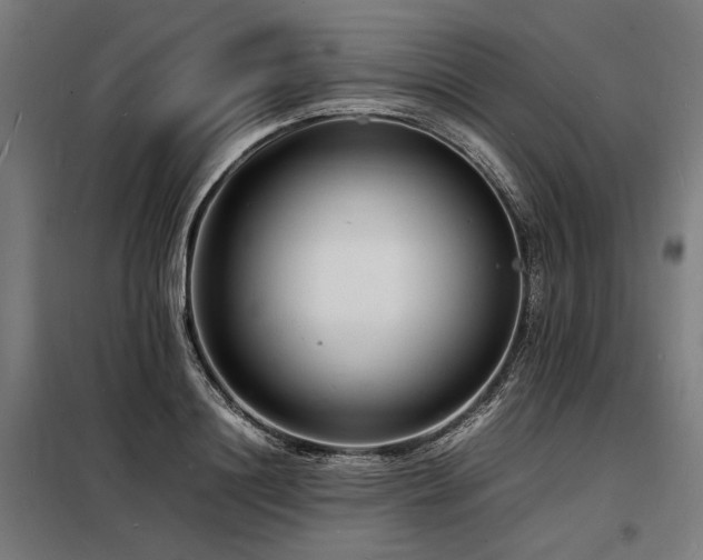 X0000098180844200804241220