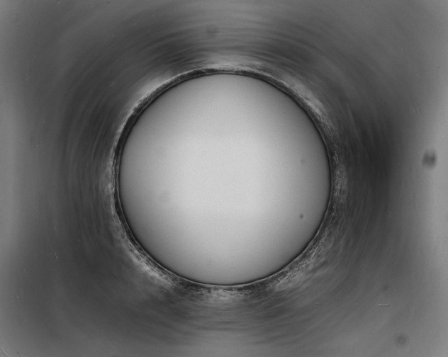 X0000098180848200804241220