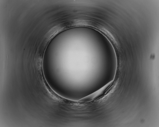 X0000098180849200804241220