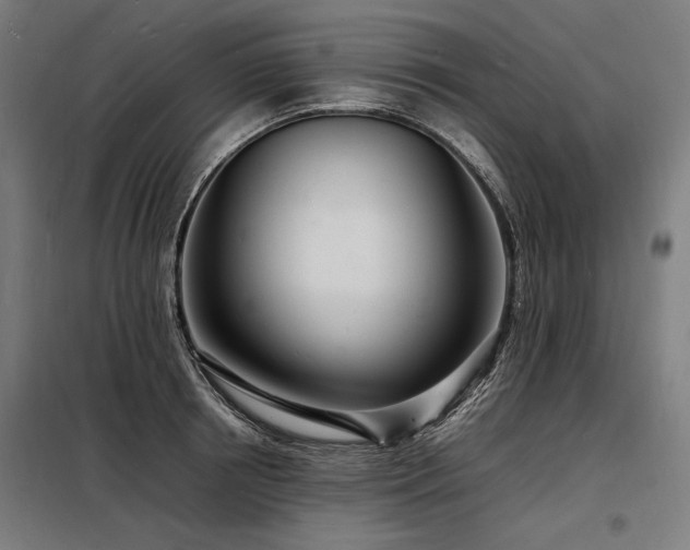 X0000098180850200804241220