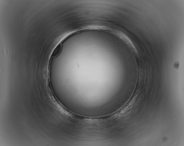 X0000098180852200804241220