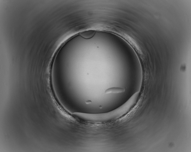 X0000098180854200804241220