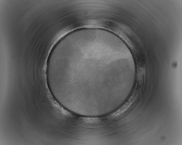 X0000098180856200804241220