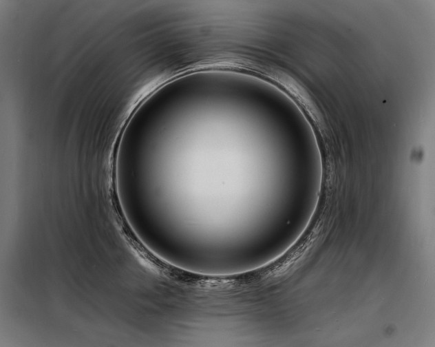 X0000098180858200804241220