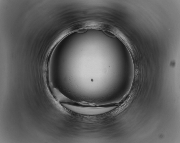 X0000098180859200804241220