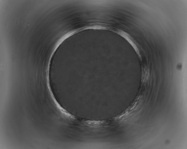 X0000098180861200804241220