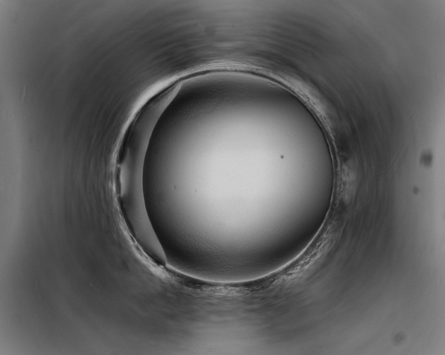 X0000098180862200804241220