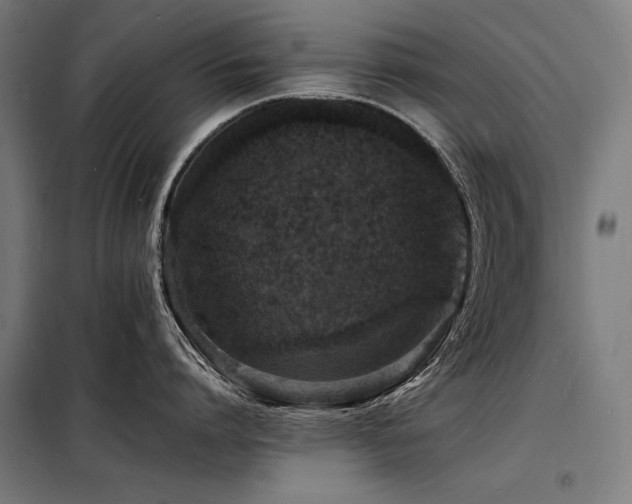 X0000098180864200804241220