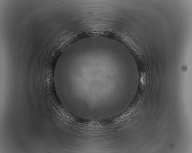 X0000098180867200804241219