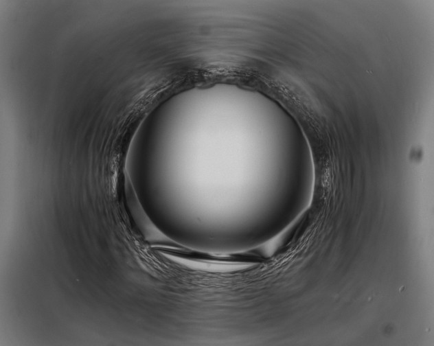 X0000098180868200804241219