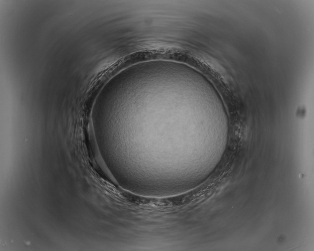 X0000098180869200804241219