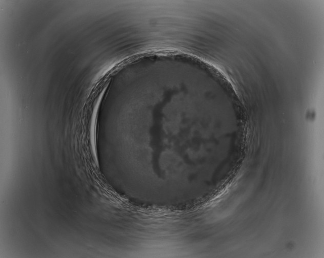 X0000098180871200804241219