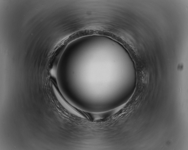 X0000098180872200804241219