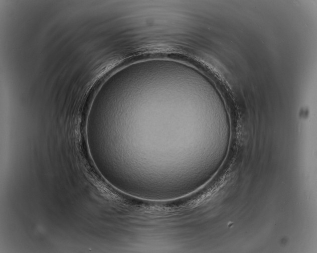 X0000098180873200804241219