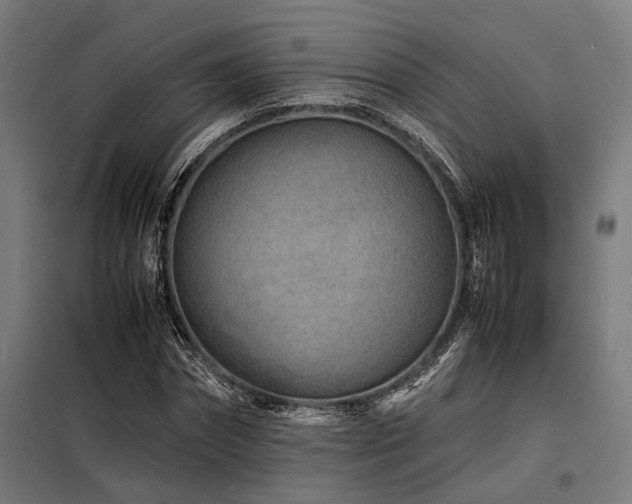 X0000098180874200804241219