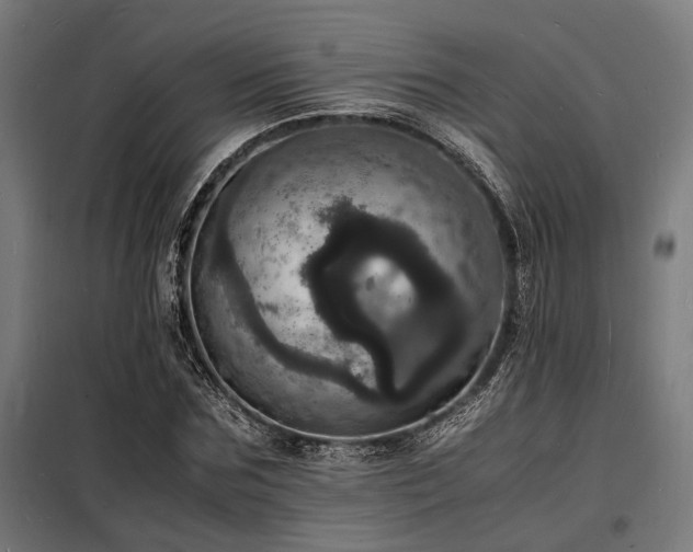 X0000098180875200804241219