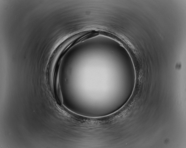 X0000098180877200804241219