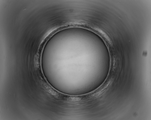 X0000098180878200804241219