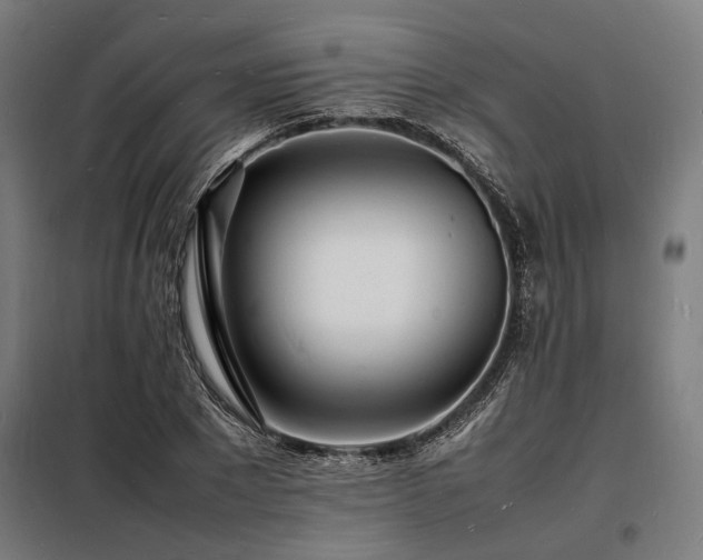X0000098180881200804241219