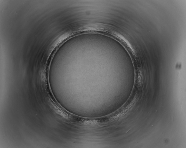 X0000098180882200804241219