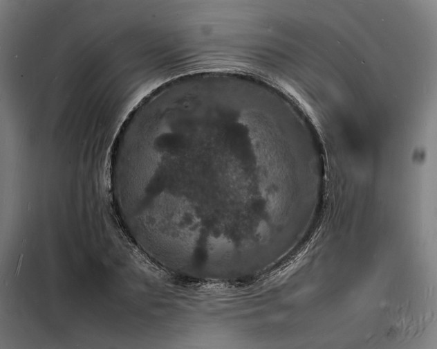 X0000098180883200804241219