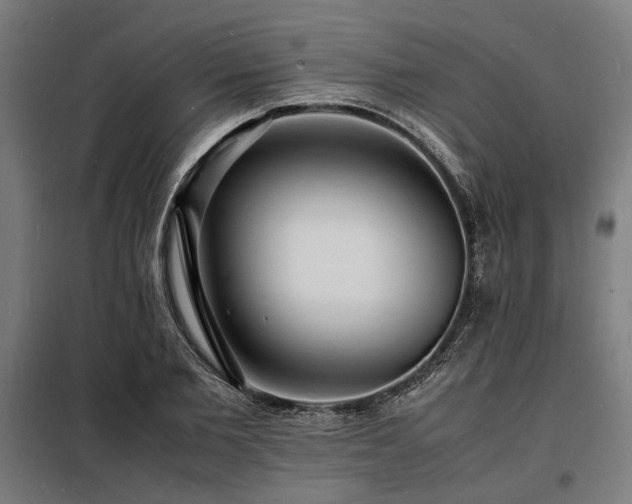 X0000098180885200804241219