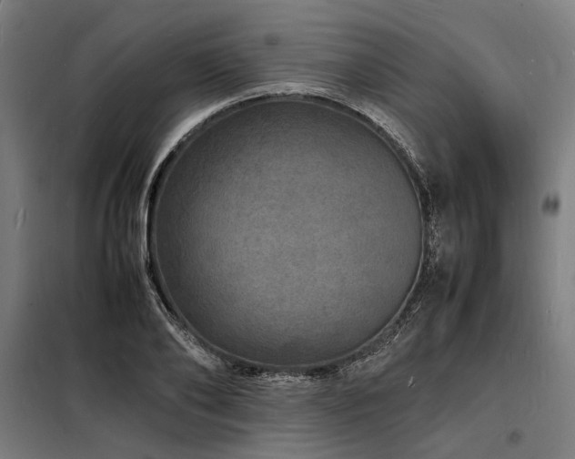 X0000098180886200804241219