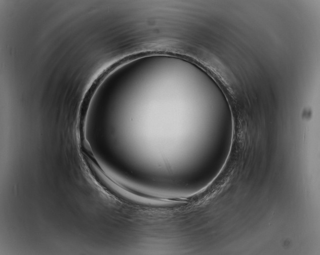 X0000098180888200804241219